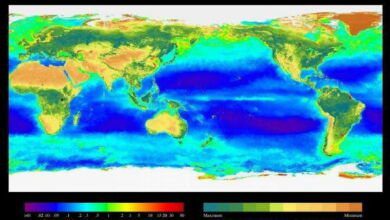 Modelos meteorológicos: Tudo o que precisa saber Modelos meteorológicos: Tudo o que precisa saber