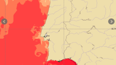 Previsão Alargada - 6 a 13 de Agosto - Praia? Condições a melhorarem...