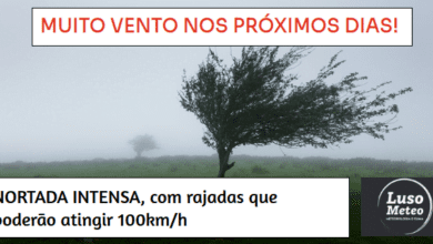 Forte nortada até 12 de Maio: Rajadas podem chegar aos 100km/h