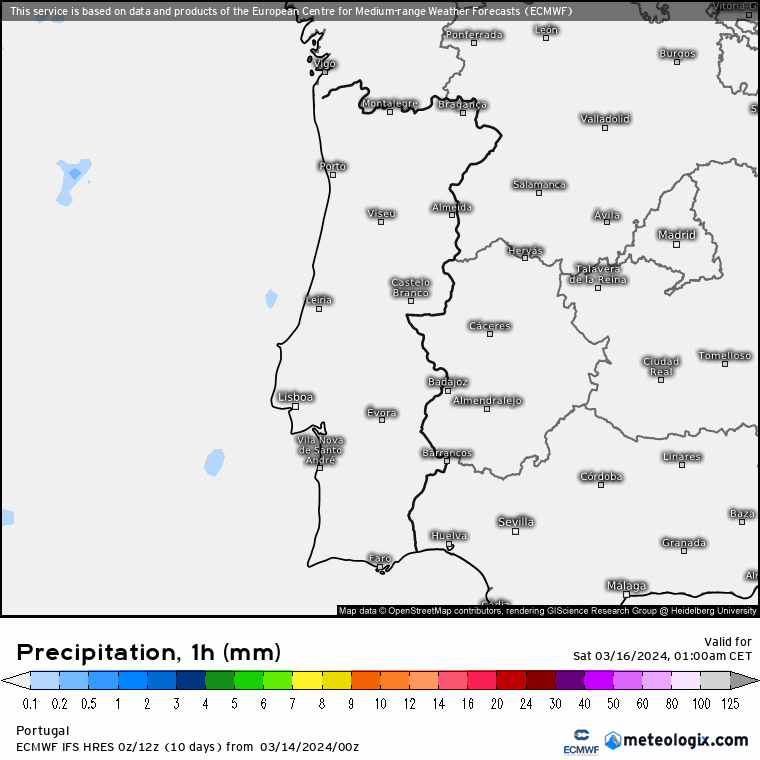 Precipitação Sábado - Modelo ECMWF