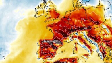 Tempo na Quinta, 4 de Abril de 2024 - Tempo de Primavera!