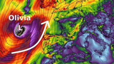 Tempo na Sexta, 5 de Abril de 2024 - Tempo tropical, e com vento!