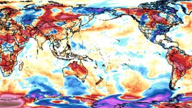 Recorde de temperatura na Terra - Julho 2024 - O que esperar dos próximos meses em Portugal e no mundo? Recorde de temperatura na Terra - Julho 2024 - O que esperar dos próximos meses em Portugal e no mundo?