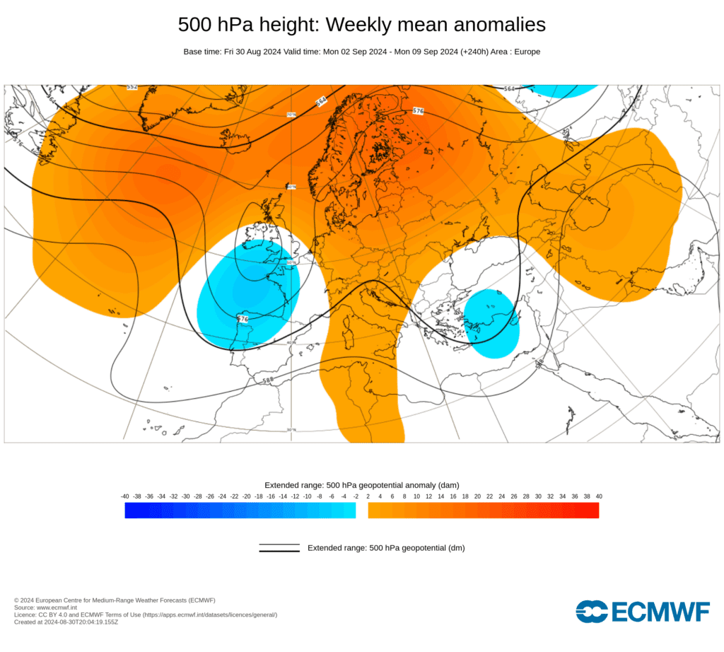 ECMWF- Tempo na primeira semana de Setembro - anomalia de geopotencial previsto