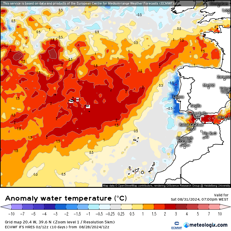 Mar extremamente quente - anomalia prevista, ECMWF