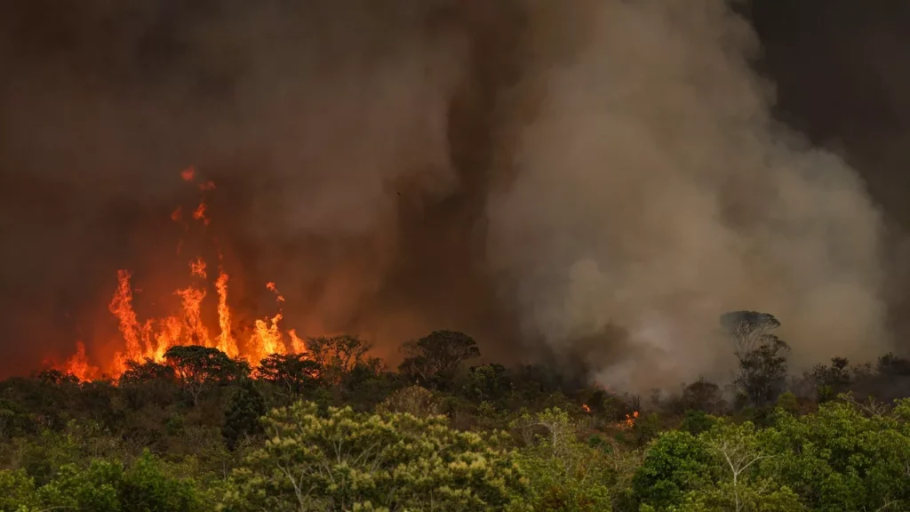 O tempo pelo mundo - Chuvas fortes no Sul de França e Itália nesta segunda, 23 setembro, ciclone tropical a caminho da Florida, e incêndios com temperaturas recorde na América do Sul... Brasília, fogo florestal, dia 16 de Setembro 2024