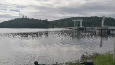 Portugal sem seca - Não tínhamos uma situação hídrica tão boa há muitos anos! - Informação atualizada Maio 2025 Portugal sem seca - Não tínhamos uma situação hídrica tão boa há muitos anos! - Informação atualizada Maio 2025