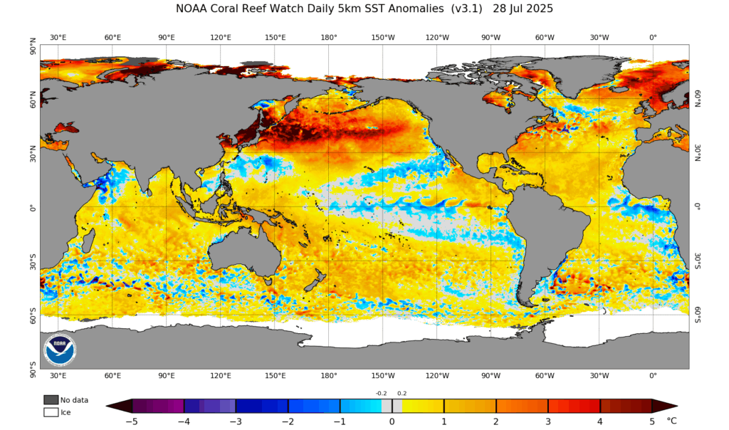Ligeiro alívio no calor - descem as temperaturas em algumas regiões - saiba a previsão do tempo na sexta, 1 de agosto de 2025! Temperaturas do mar muito elevadas em diversas regiões - mas abaixo da média na Costa Ocidental Portuguesa