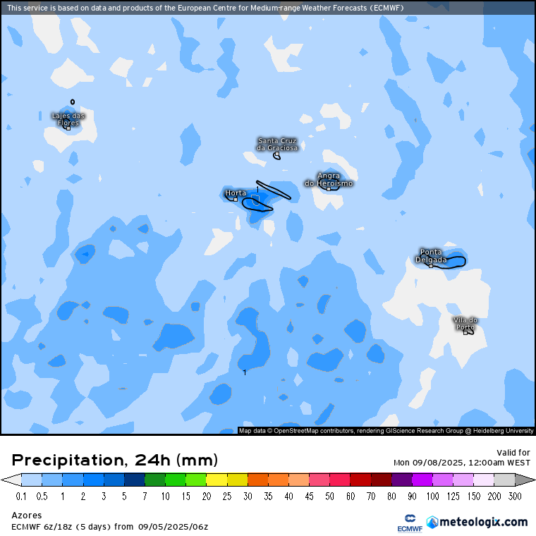 Possibilidade de aguaceiros fracos ocasionais neste domingo - previsão ECMWF