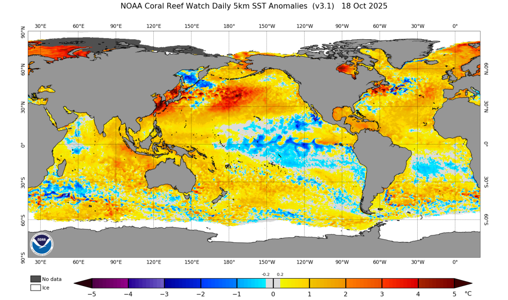 Temperaturas altas continuam em Portugal nos próximos dias - anomalias superiores a 5ºC - É normal? E quando pode chegar o frio? Anomalias da temperatura do mar superiores a 3ºC entre os Açores e Portugal Continental