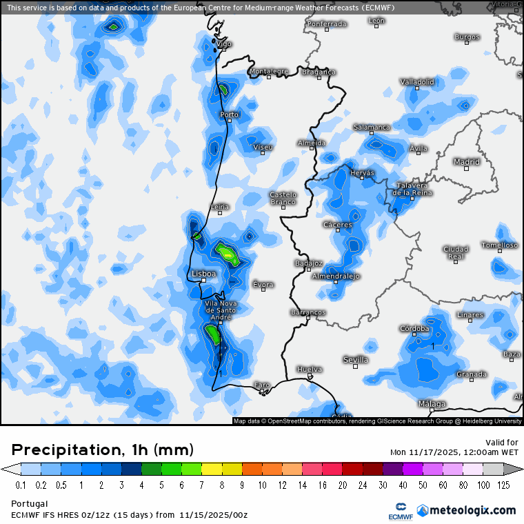 Evolução da chuva para esta segunda-feira em Portugal Continental - ECMWF