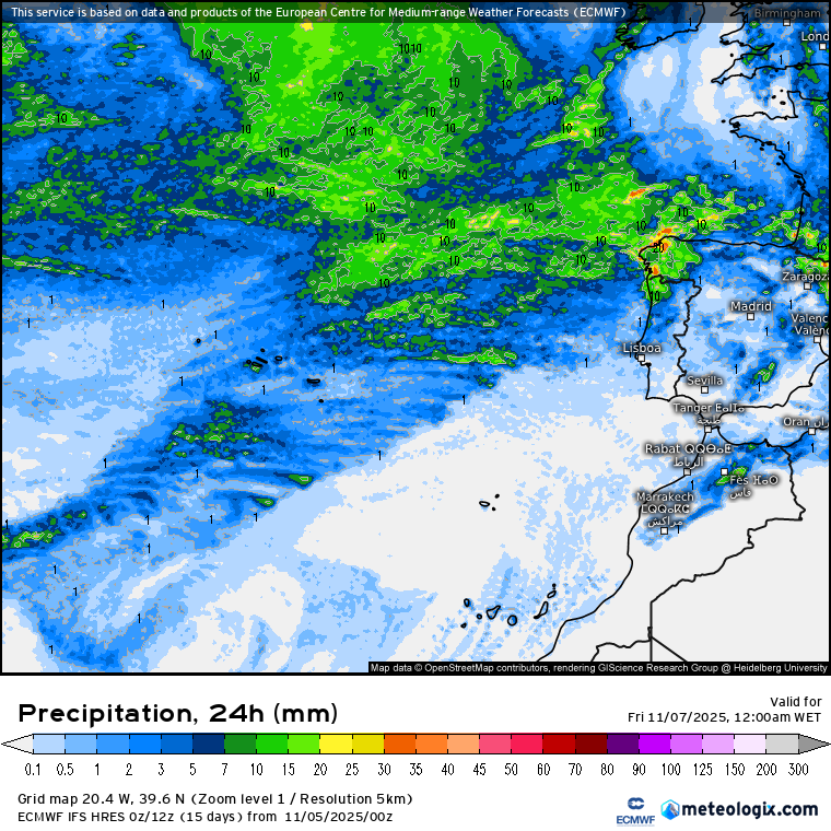 Precipitação prevista nesta quinta-feira segundo o modelo de previsão ECMWF 