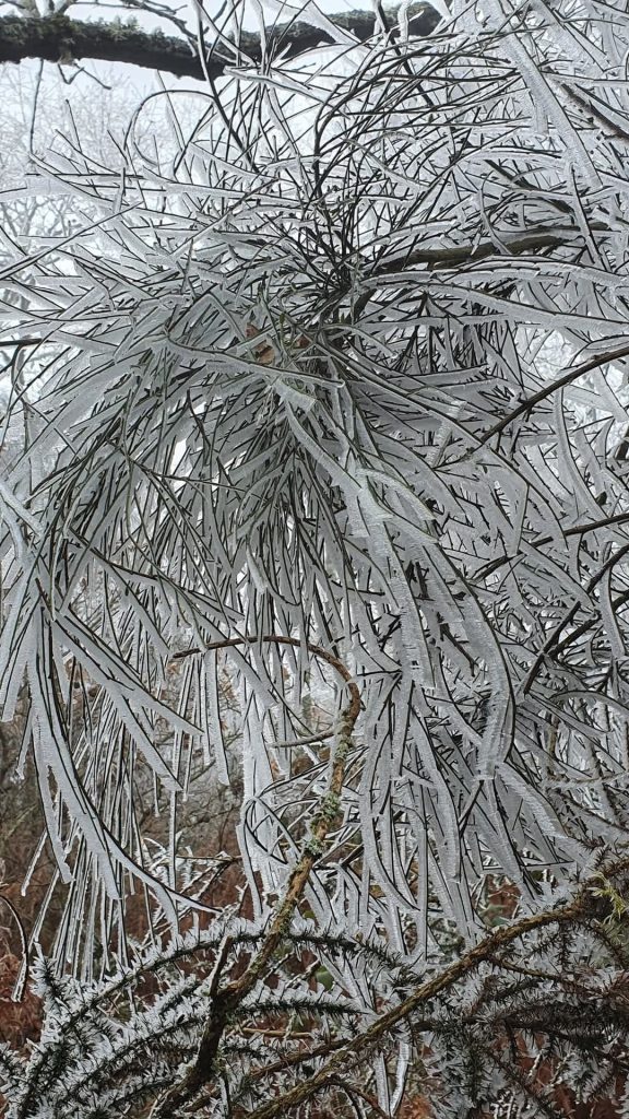 Sincelo é o fenómeno meteorológico que irá marcar o fim do ano - previsão do tempo na segunda e terça, dias 29 e 30 de dezembro Fenómeno de sincelo em Chaves, registado a 26 de dezembro de 2024