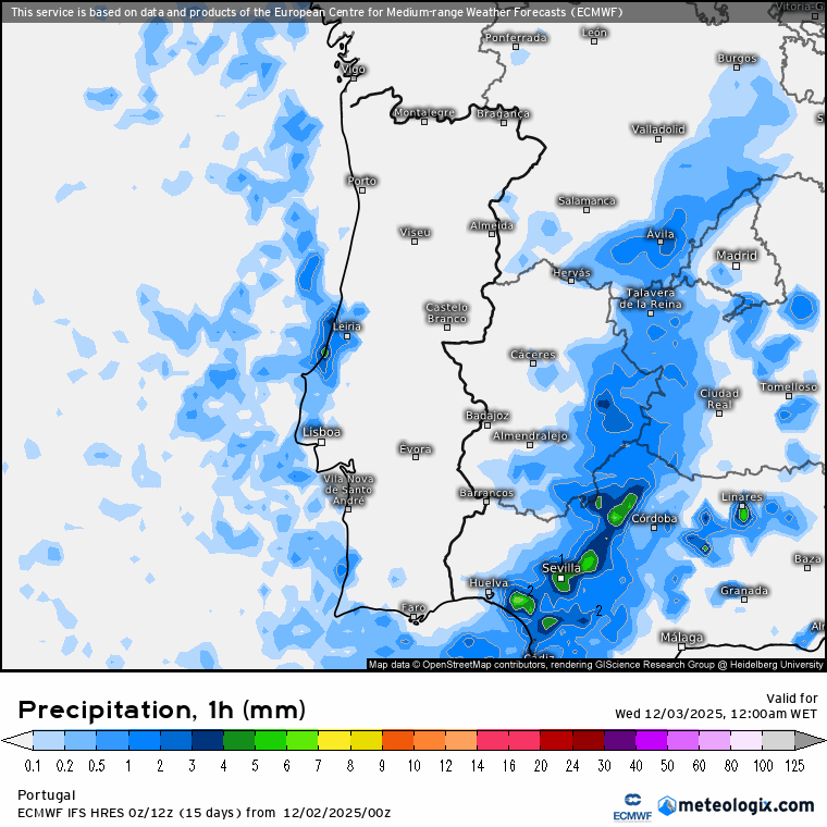 Evolução da precipitação prevista nesta quarta-feira - ECMWF