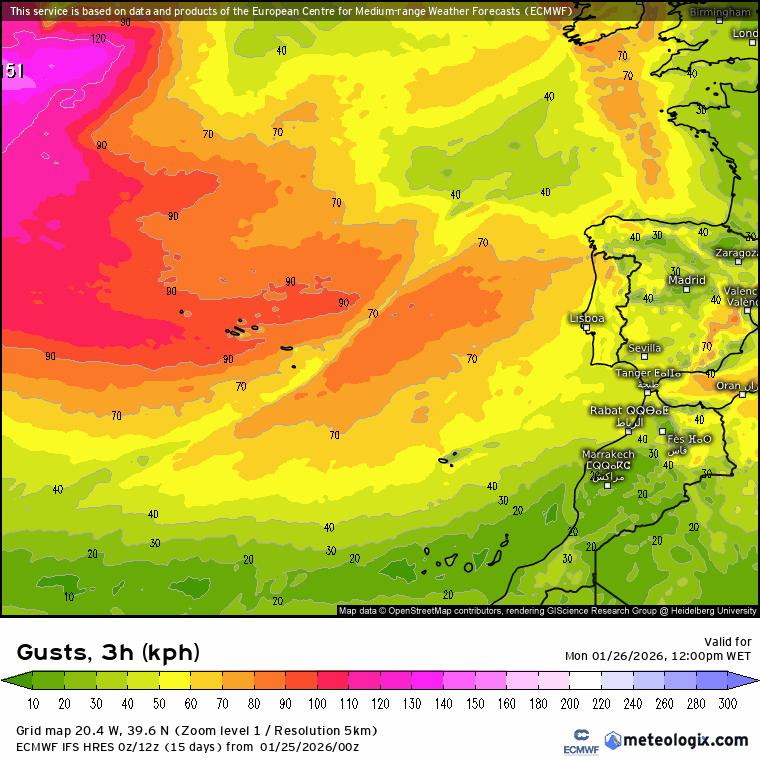 Evolução do vento previsto na segunda-terça - ECMWF