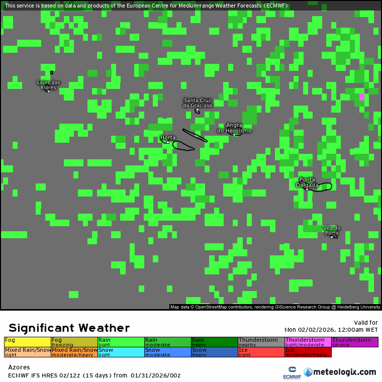 Sistema depressionário complexo traz mais uma frente com chuva e vento forte - mais uma madrugada de mau tempo - previsão do tempo na segunda, 2 de fevereiro Evolução da precipitação ao longo do dia segundo o modelo ECMWF