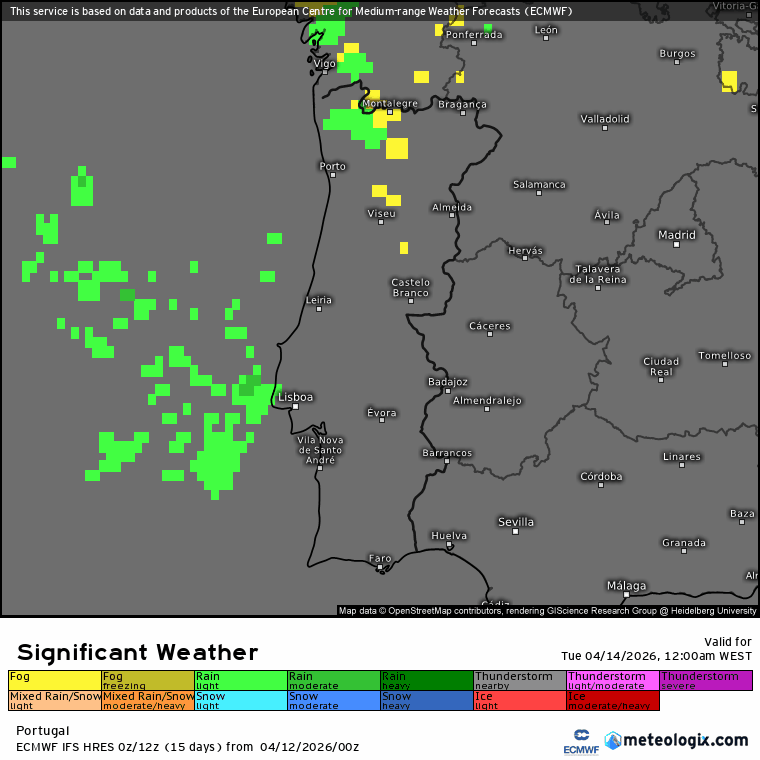 A verde... chuva prevista ao longo do dia. A amarelo assinalam-se os nevoeiros (previsão ECMWF)