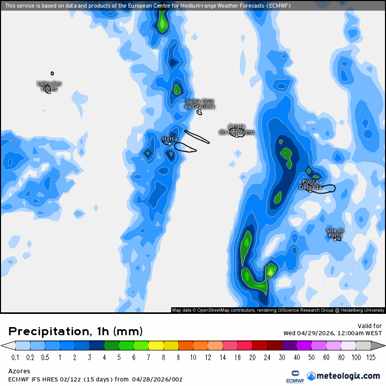 Evolução da precipitação ao longo do dia nos Açores (ECMWF)