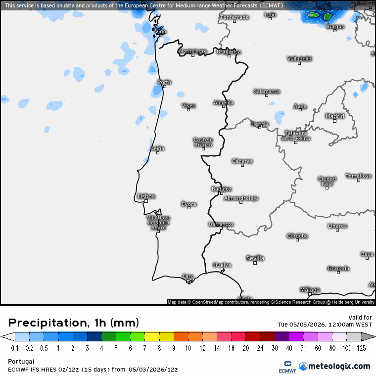 Evolução da precipitação ao longo do dia em Portugal Continental