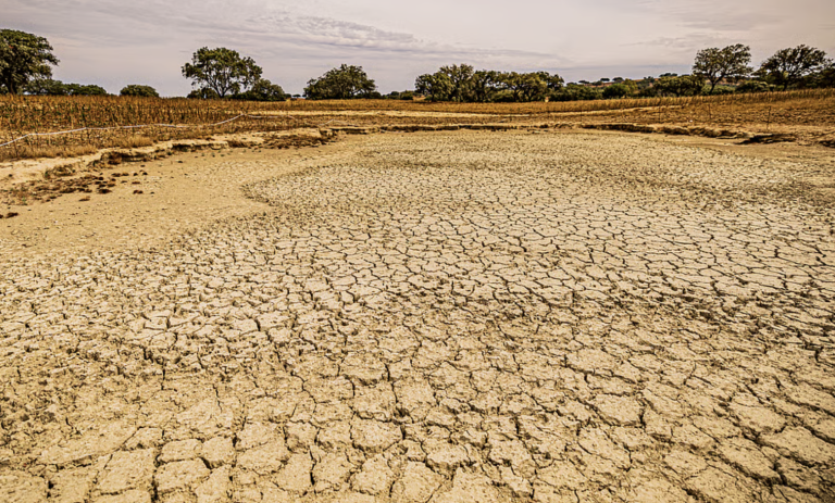 Super El Niño avizinha-se: Estamos prestes a entrar em território desconhecido? O que esperar nos próximos meses? Super El Niño avizinha-se: Estamos prestes a entrar em território desconhecido? O que esperar nos próximos meses?