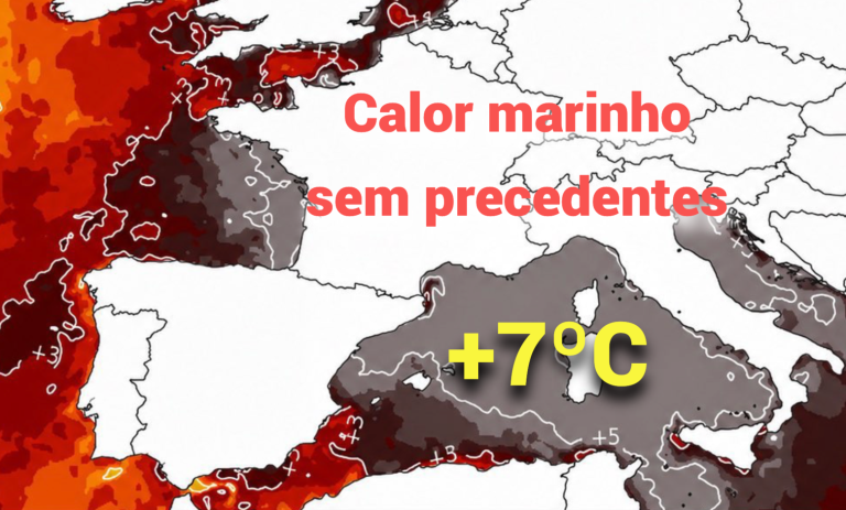 Alerta no Mediterrâneo: Calor extremo na Europa leva a onda de calor marinho sem precedentes