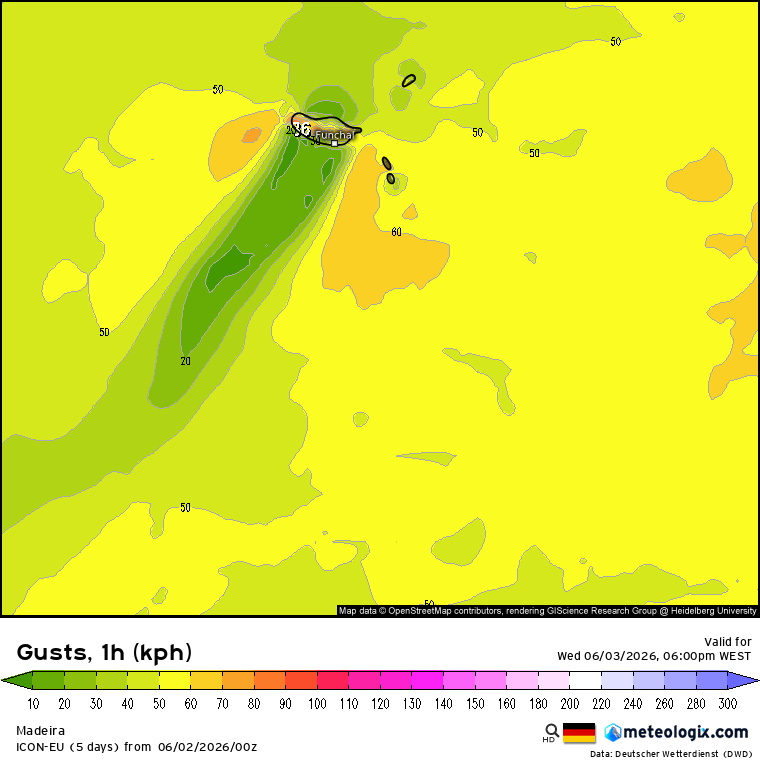 Vento forte na Madeira, com rajadas máximas até 80km/h