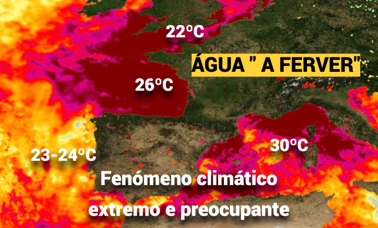 Costa de vários países com água “a ferver” devido a um fenómeno severo – o que se passa, e quais as consequências desta onda de calor marinho? Costa de vários países com água "a ferver" devido a um fenómeno severo - o que se passa, e quais as consequências desta onda de calor marinho?