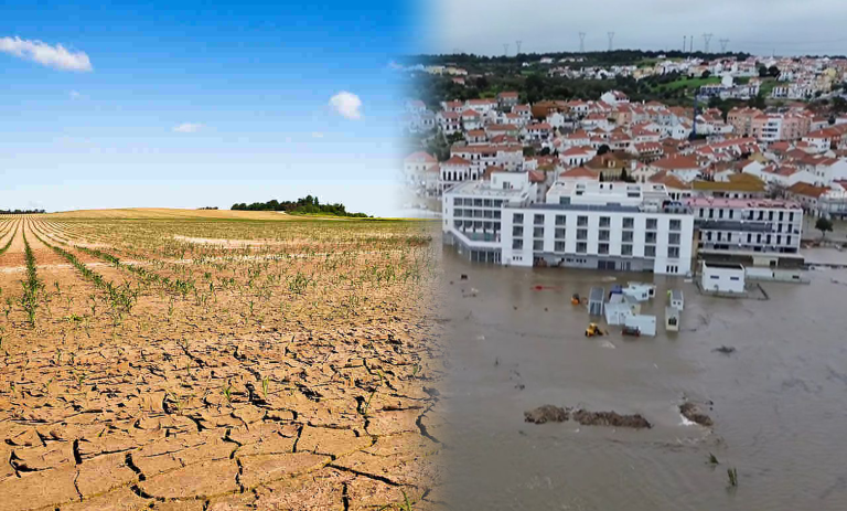 Portugal está a ficar com apenas duas estações? A primavera é uma espécie de Verão, e o Outono parece desaparecer...